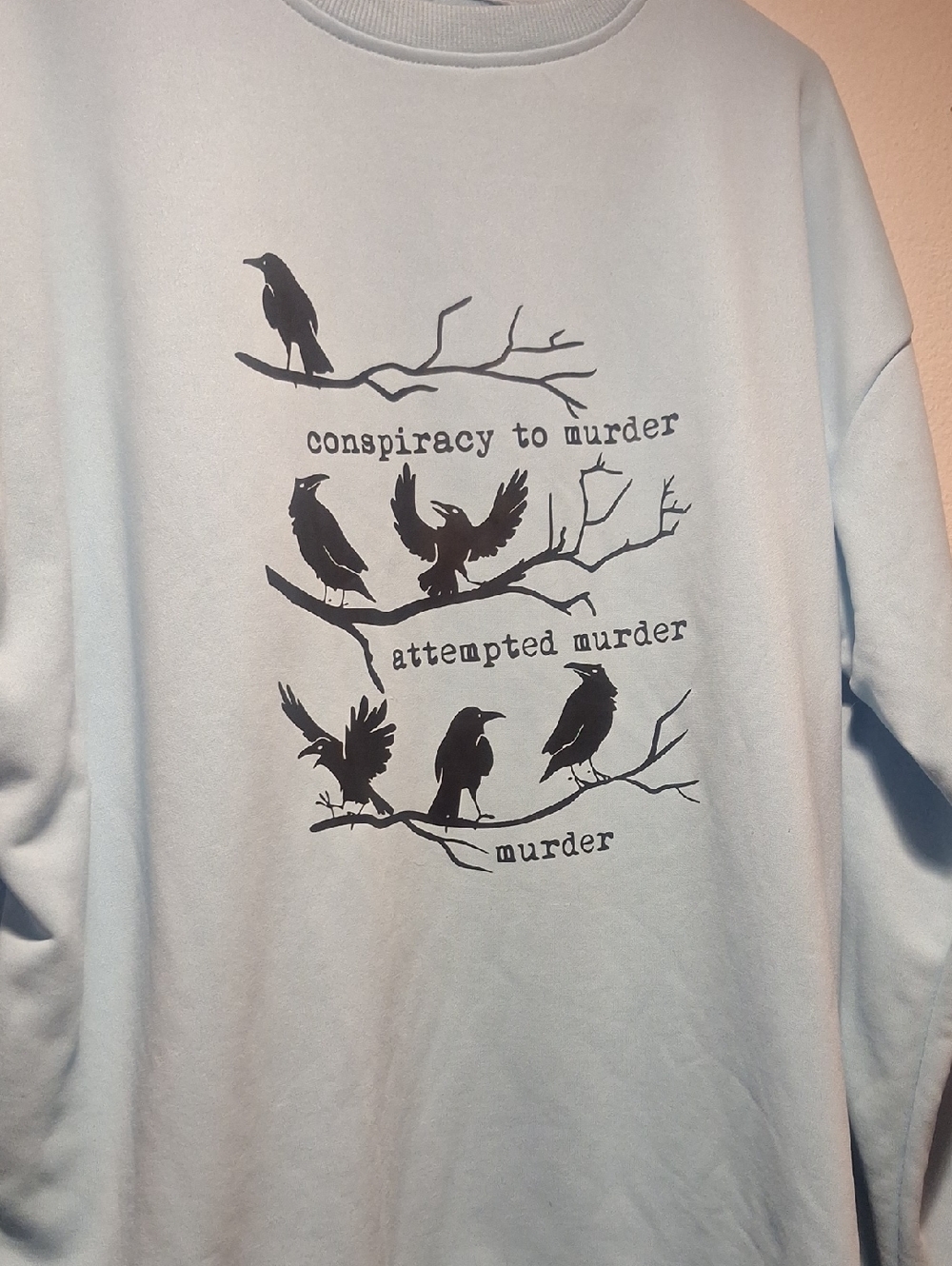 Light Blue Graphic Pullover Sweatshirt with Black Raven Design